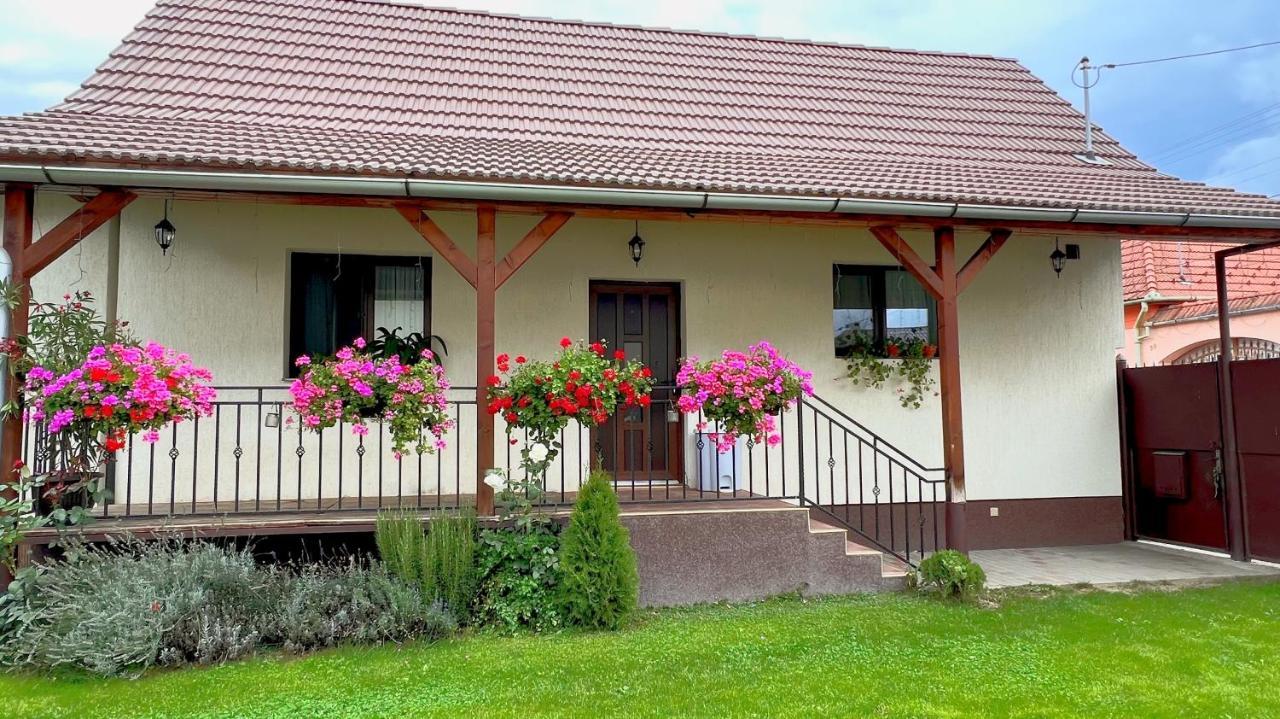 Siebenbuerger Haus Villa Sibiu Dış mekan fotoğraf